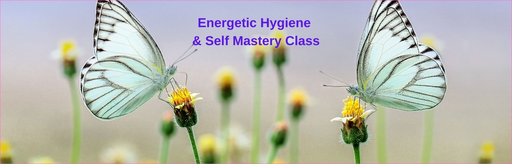 Energetic Hygiene and Self Mastery Class