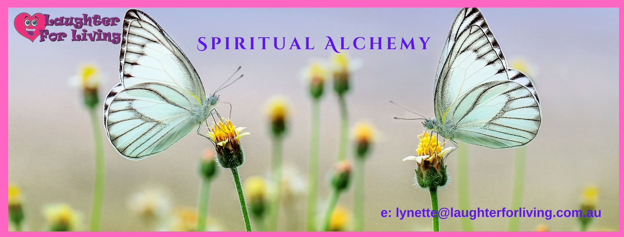 Spiritual Alchemy is a term to describe raising our lower vibrating negative energy which is fear based, into a faster, higher vibration love based energy.